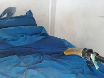 Chaturbate Watch Live Sex Cams of hot_and_complacent