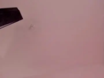 Chaturbate Adult Webcam of zayotto