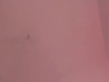 Chaturbate Watch Live Sex Cams of zayotto