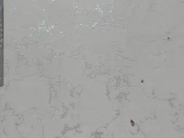 Chaturbate Adult Webcam of dominicsccott