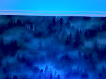 Chaturbate Live Porn of markshot_