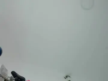 Chaturbate Free Live Porn of salvatore_amator