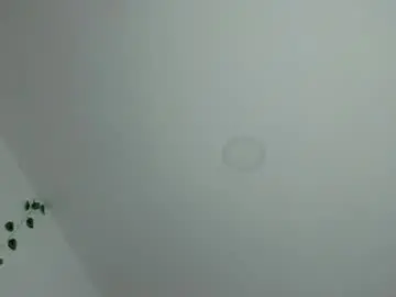 Chaturbate Live Porn of salvatore_amator