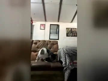 Chaturbate Live Sex of panthers_room