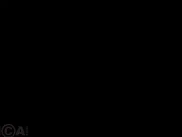 Chaturbate Live Sex Cam of barbara_rogers