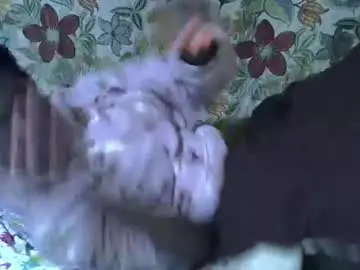 Chaturbate Sex Chat of lora_amor