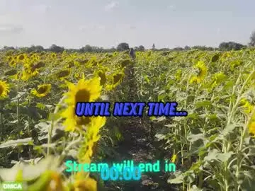 Chaturbate Adult Webcam of sunflower0907