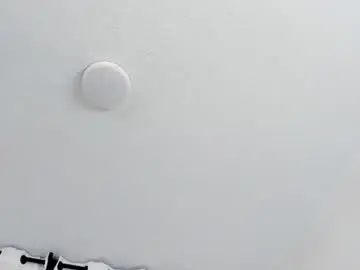 Chaturbate Sex Cam of foxyhillx