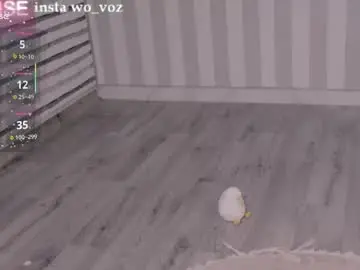 Chaturbate Best Webcam of careful_i_bite