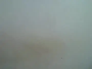 Chaturbate Adult Webcams of akram_sexy