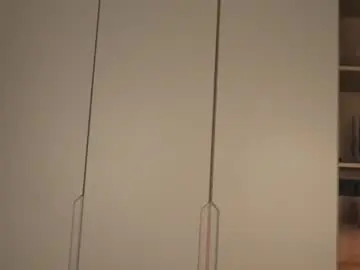 Chaturbate Adult Webcam of ameliabiers