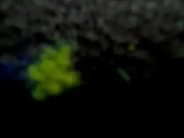 Chaturbate Live Sex Cam of aisharouhi