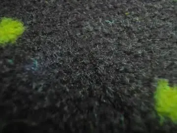 Chaturbate Live Porn of aisharouhi