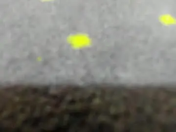 Chaturbate Live Sex of aisharouhi