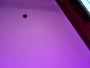 Chaturbate Live Porn of alondrasoomer