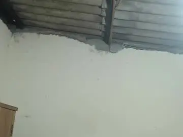 Chaturbate Adult Webcams of daylon_brown_