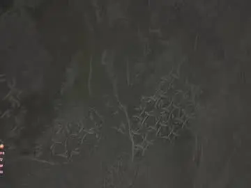 Chaturbate Sex Cam of lipswithsmileonthem