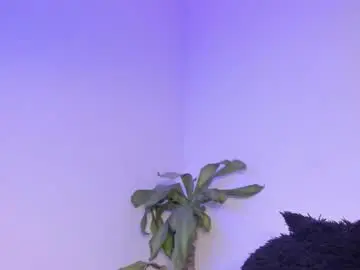 Chaturbate Best Webcam of lucyshen_