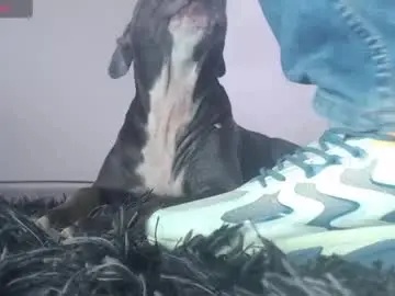 Chaturbate Free Live Porn of tommy_c0rtez