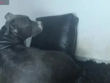 Chaturbate Private Sex Chat of tommy_c0rtez