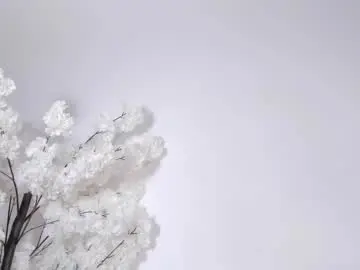 Chaturbate Adult Webcam of sweetsalice__