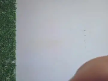 Chaturbate Adult Webcam of gael_david