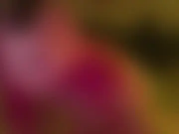 Chaturbate Best Webcam of moonlight_mia