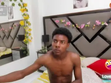 Chaturbate Nude Webcam of noahjhonson69