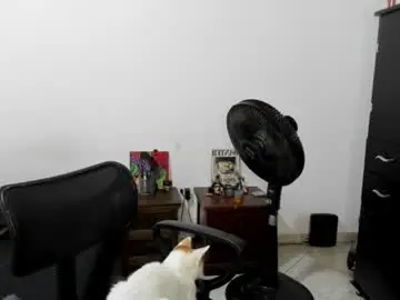 Chaturbate Adult Webcam of santiceballo