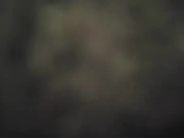 Chaturbate Live Porn of little_sakuraxxx