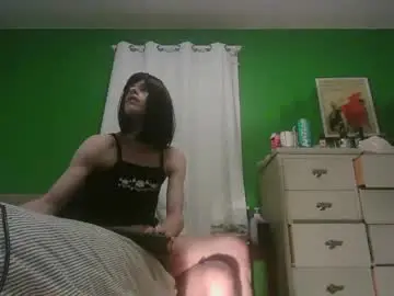 Chaturbate Adult Webcam of anilyseardor