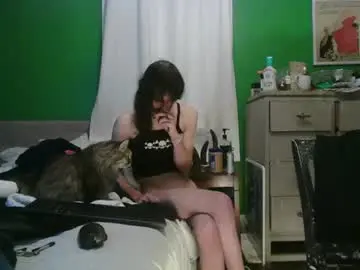 Chaturbate Best live sex cam show of anilyseardor