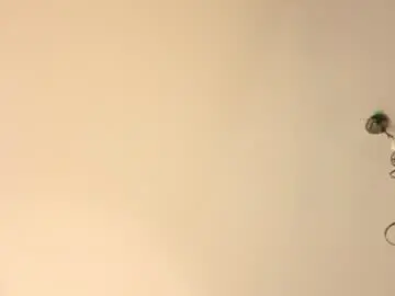 Chaturbate Live Porn of toxicpassion