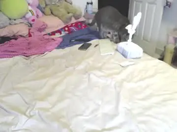 Chaturbate Free Porn Cam of anny_bunny1