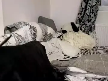 Chaturbate Adult Webcam of ryanstorm1