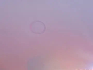 Chaturbate Free Porn Cam of chris_parker01