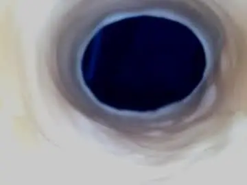 Chaturbate Watch Live Sex Cams of paulainoscente