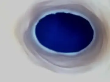 Chaturbate Free Porn Cam of paulainoscente