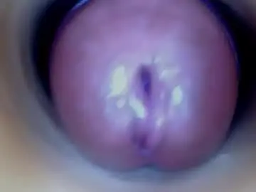 Chaturbate Free Porn Cam of paulainoscente