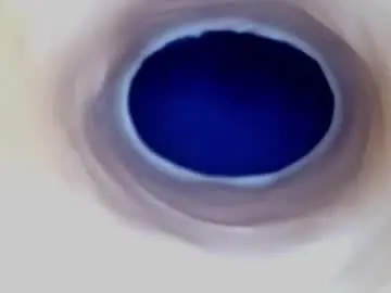 Chaturbate Sex Chat of paulainoscente