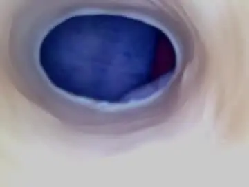 Chaturbate Best Webcam of paulainoscente