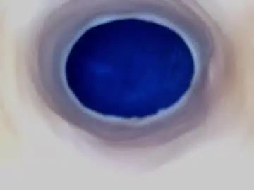 Chaturbate Best Webcam of paulainoscente