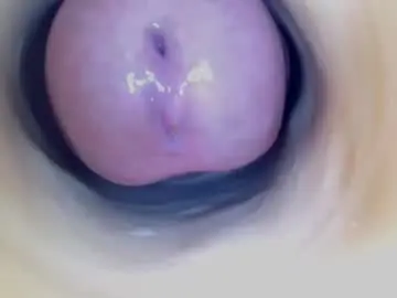 Chaturbate Adult Webcam of paulainoscente