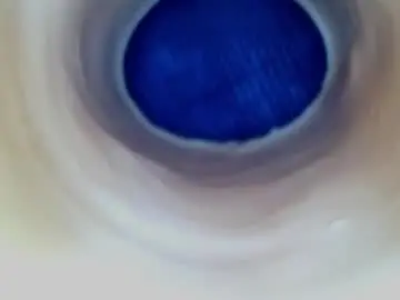 Chaturbate Adult Video Chat of paulainoscente