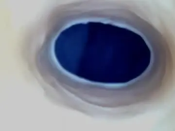 Chaturbate Private Sex Chat of paulainoscente