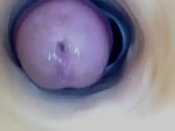 Chaturbate Adult Webcams of paulainoscente