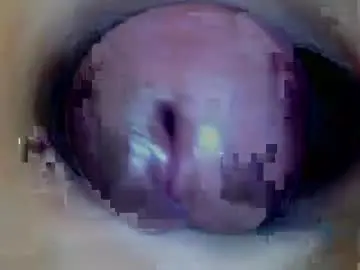Chaturbate Free Live Porn of paulainoscente