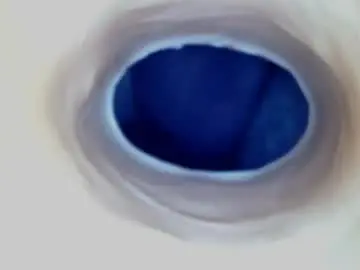 Chaturbate Best live sex cam show of paulainoscente