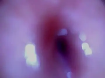 Chaturbate Nude Webcam of paulainoscente