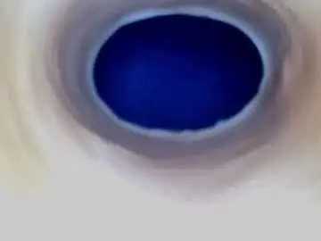 Chaturbate Best Webcam of paulainoscente